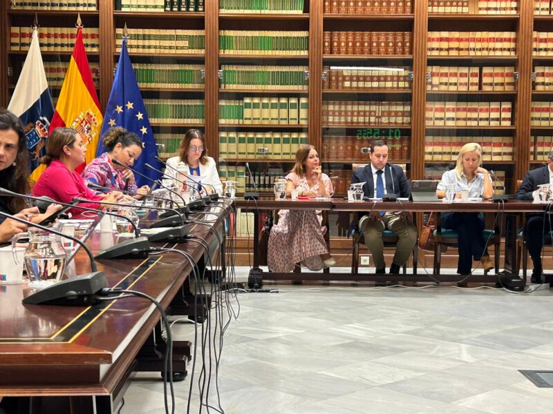 Comparecencia de Candelaria Delgado en sede parlamentaria donde anunció la declaración de las políticas sociales como servicios esenciales