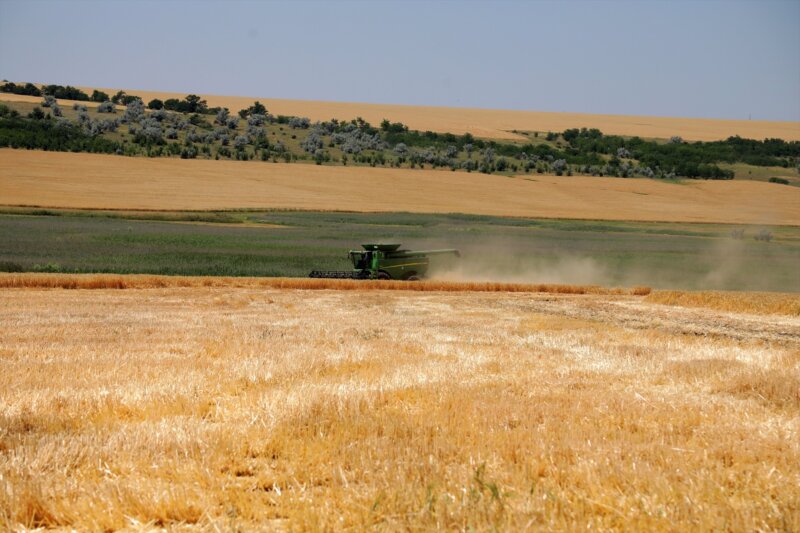 Ucrania propone a Turquía restaurar el corredor de grano / Imagen de archivo