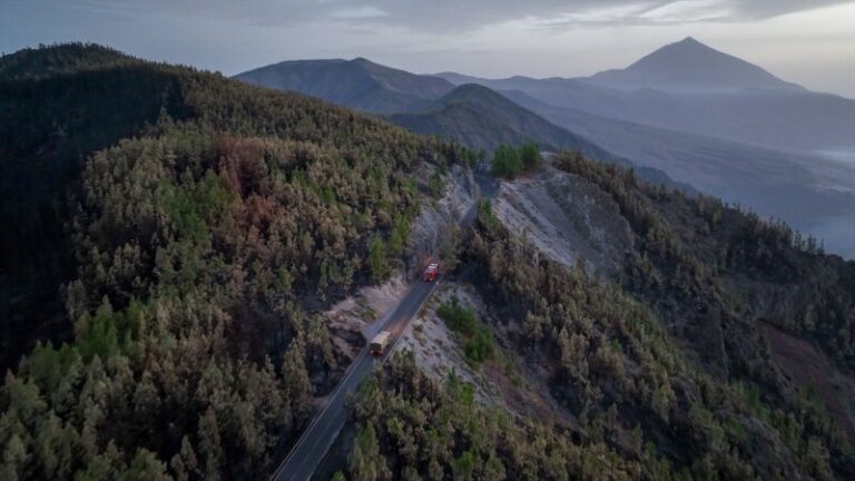 La iniciativa ‘Tótems Tenerife’ documentará la recuperación del monte afectado por el incendio
