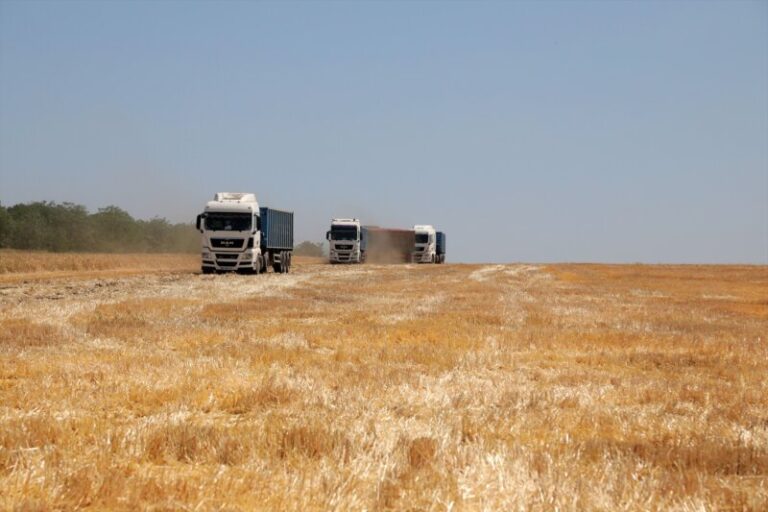 Ucrania y Eslovaquia llegan a un acuerdo de exportación de grano