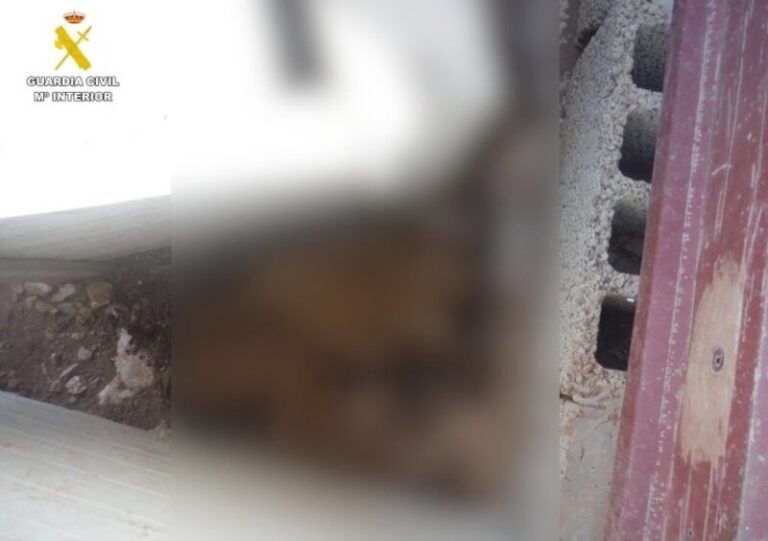 Investigado en Fuerteventura por maltrato animal tras localizar tres perros muertos