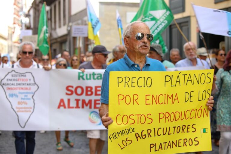 Unos 300 agricultores reclaman en La Palma «un precio justo» del plátano canario