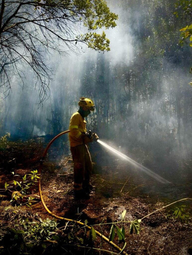 Brifor Tenerife Reactivación incendio