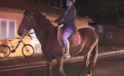 Caballos El Sauzal.