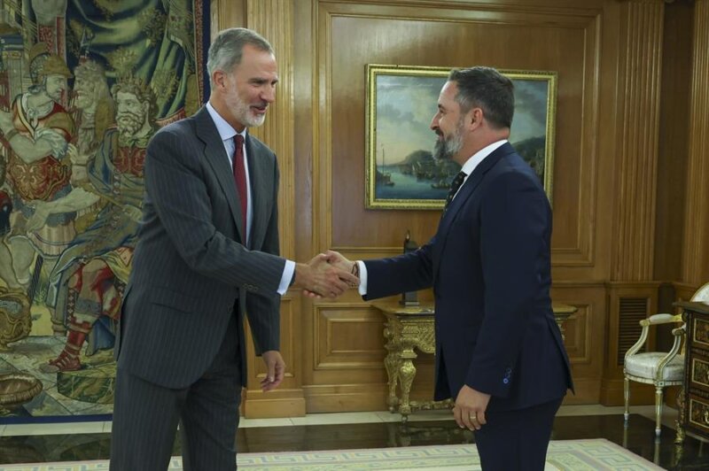 El rey recibe a Santiago Abascal. Efe