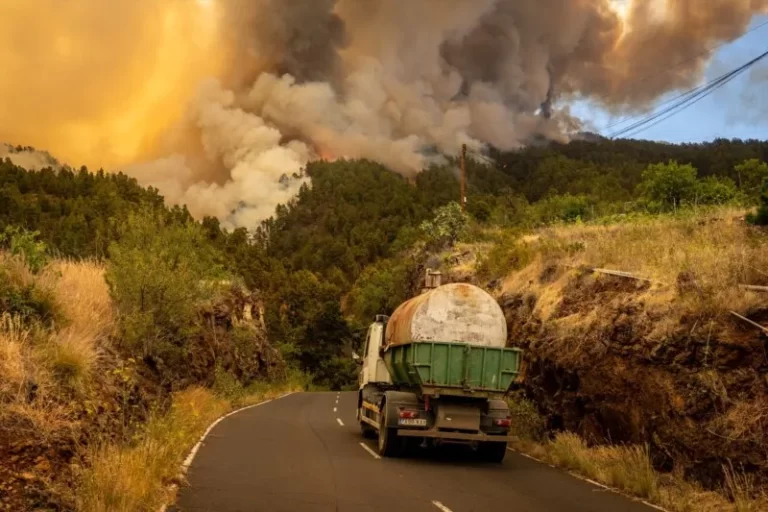 Aprueban las obras de urgencia en zonas afectadas por el incendio de Puntagorda