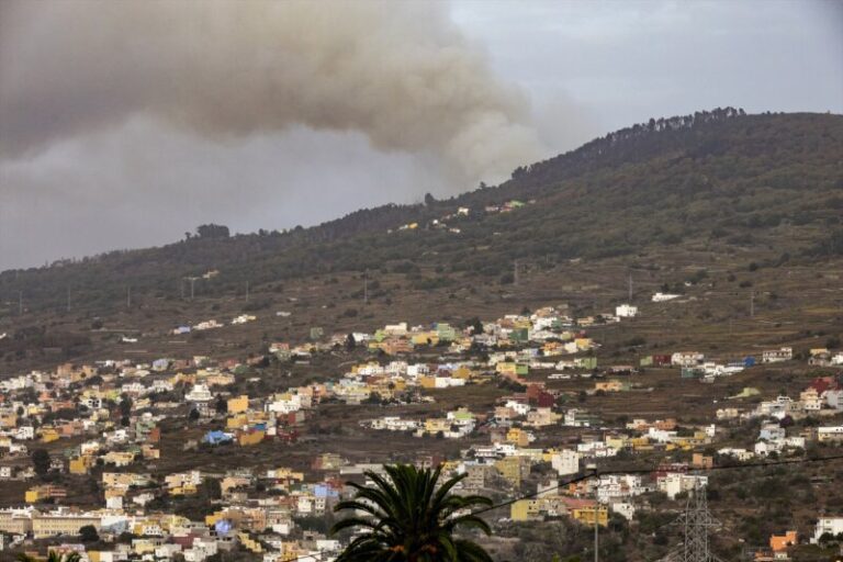 Emiten 54.000 bonos consumo para reactivar la economía de zonas afectadas por el incendio de Tenerife