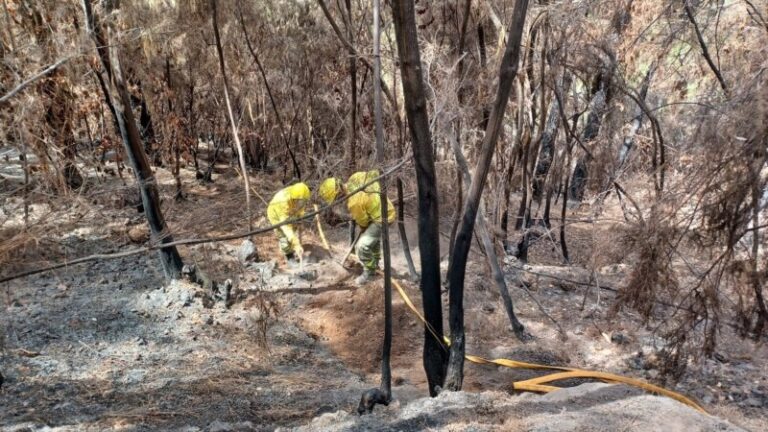 El Gobierno activa el nivel 2 del incendio forestal en Tenerife