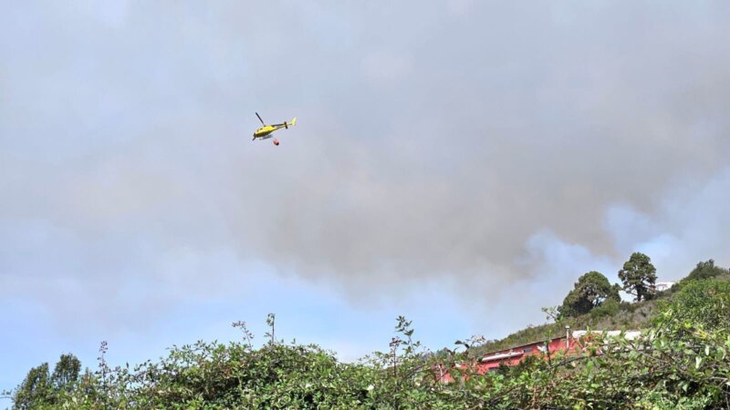 La Orotava. Reactivación incendio Tenerife