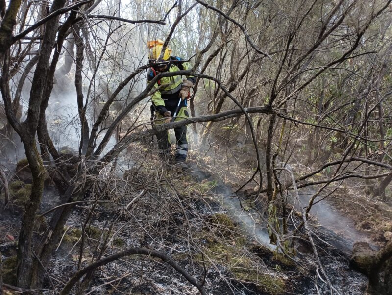 Miembro EIRIF en Reactivación incendio Tenerife.