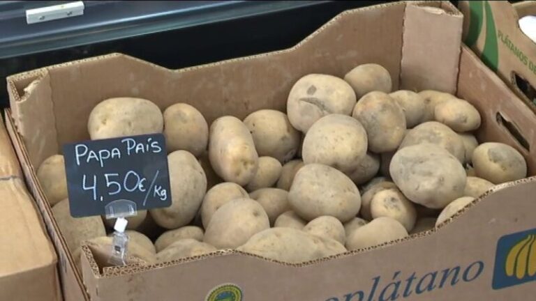 Canarias vuelve a recibir papas del Reino Unido