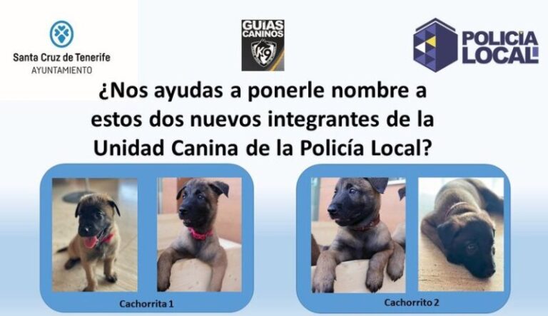 Pon nombre a los nuevos cachorros de la Unidad Canina de la Policía Local de Santa Cruz