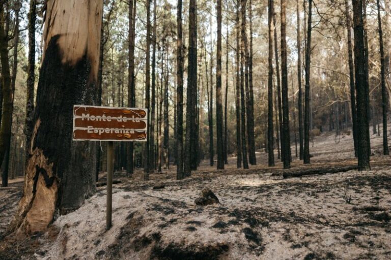Alerta por lluvias en los municipios afectados por el incendio de Tenerife