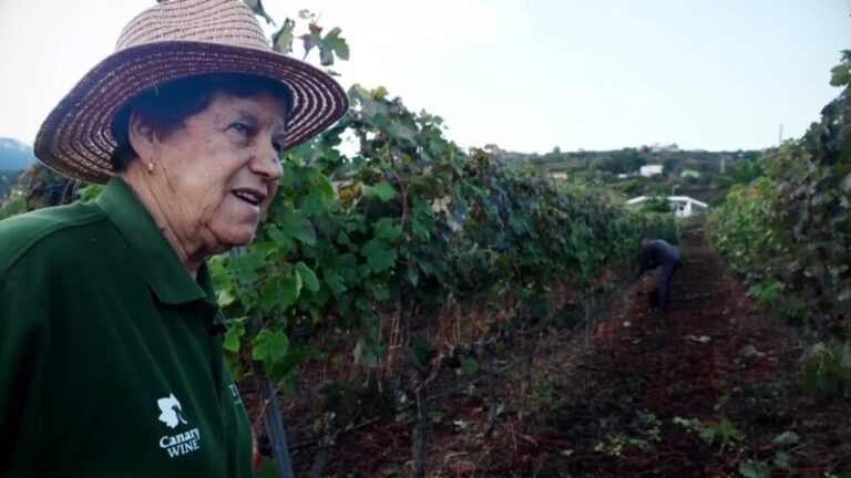 Noveleros rinde homenaje este martes a las ‘Reinas del Campo’