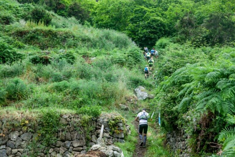 La Tenerife Bluetrail 2024 adapta sus recorridos tras el incendio
