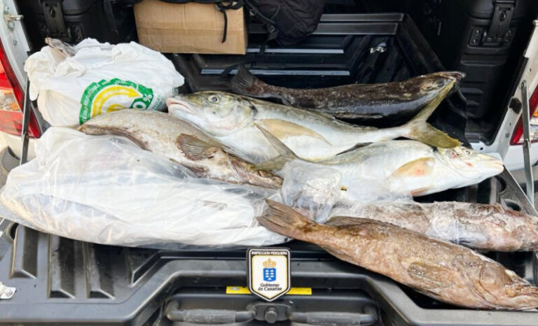 Denunciados por transportar casi 38 kilos de pescado más de lo permitido