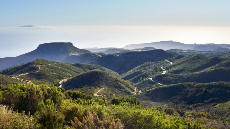 , bajo el título ‘La naturaleza de La Gomera en tiempos de cambio global’.
