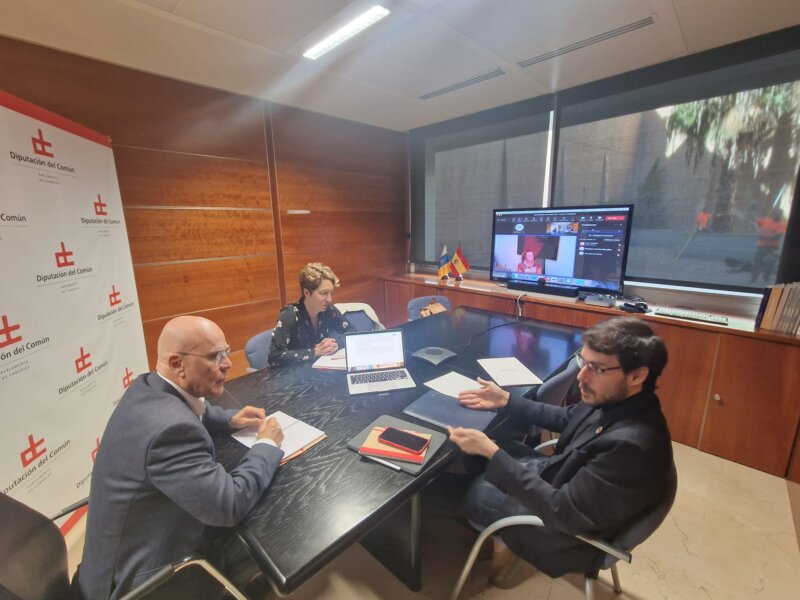 Diputado del Común