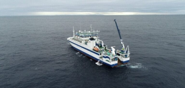 Este jueves ‘Día de la Acuicultura’ el Instituto Español de Oceanografía muestra de cerca su labor diaria