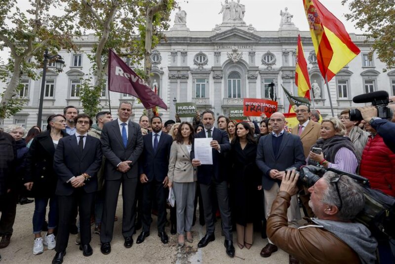 Querella Vox. Efe