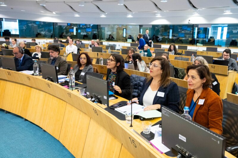 Sandra Rodríguez, directora general de Protección a la Infancia y a las Familias. Imagen Gobierno de Canarias en la reunión de Bruselas.