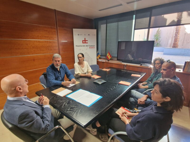 Reunión con el sector cultural canario. Imagen Diputación del Común