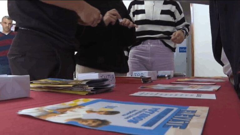 “Democratízate” acerca la democracia a los alumnos del colegio Decroly