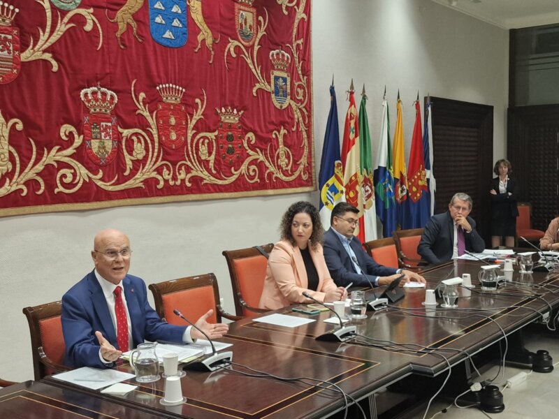 Rafael Yanes en comisión parlamentaria. Imagen Diputación del Común