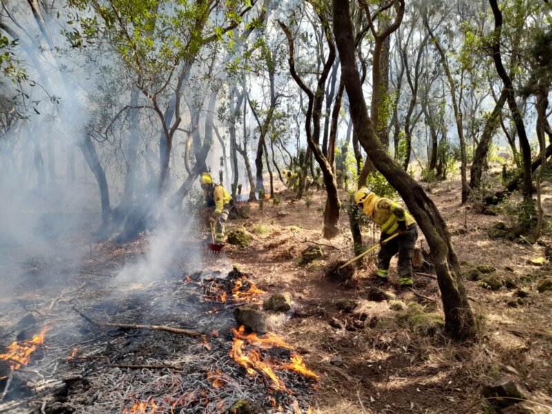 Incendios en las islas y superficie quemada