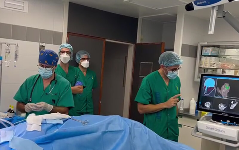 El Hospital Universitario de Gran Canaria Dr. Negrín, centro adscrito a la Consejería de Sanidad del Gobierno de Canarias, y un grupo de investigación de la Universidad de La Laguna (ULL) han desarrollado un dispositivo para medir la actividad cerebral en el marco de un proyecto denominado ODIN. Se trata de un nuevo implante óptico intraóseo cuyo primer prototipo ya ha sido desarrollado e implantado en un modelo animal. Este dispositivo permite enviar y recibir señales del cerebro de forma menos invasiva con la finalidad de contribuir, en un futuro, al tratamiento de diversas patologías como pueden ser, entre otras, el Parkinson.El servicio de Neurocirugía del Hospital Dr. Negrín, concretamente los doctores Jesús Morera, Sara Bisshopp y Brian Melchiorsen, han formado parte de este proyecto, junto al doctor José Luis Martín Barrasa, veterinario anestesista y responsable del área de experimentación y bienestar animal de la Unidad de Investigación del centro hospitalario.Los neurocirujanos han llevado a cabo una cirugía compleja usando un robot quirúrgico para guiar la trayectoria de implantación tanto de los electrodos profundos como del prototipo de implante intraóseo desarrollado por el equipo de investigaciónde la Universidad de La Laguna, liderado por Estefanía Hernández Martín, actual investigadora de la institución académica tras haber dirigido a equipos multidisciplinares en Ingeniería y Neurología en la Universidad y Hospital de California. También forman parte de este equipo de investigación los doctores José Luis González Mora y Francisco Marcano, así como los ingenieros Óscar Pérez, Roberto Chávez y Zulema Castro.ODIN es un ejemplo de interfaz cerebro-ordenador (BCI), dispositivos que facilitan la comunicación directa entre el encéfalo y un equipo externo. El objetivo principal del implante es identificar patrones de activación en la corteza cerebral que envían señales rápidas y de alta precisión a los músculos, cuya regulación es dada por núcleos cerebrales profundos para crear un modelo de control motor que influirá tanto en tratamientos clínicos como en desarrollo tecnológico.Además, se ha desarrollado un implante óptico miniaturizado, poco invasivo y biocompatible que se implanta en el espesor del cráneo. Se trata del primer implante cerebral colocado fuera del parénquima cerebral, lo cual evita problemas de biocompatibilidad como edemas e inflamación que se dan en los implantes de microelectrodos que se están desarrollando en la actualidad. Tanto el robot utilizado para guiar la cirugía como otros materiales quirúrgicos empleados por el equipo de neurocirugía del Hospital Dr. Negrín han sido proporcionados por la multinacional Medtronic España. En este proyecto también ha participado Alejandro Artiles y su equipo del Hospital Veterinario Los Tarahales, en la capital grancanaria.
