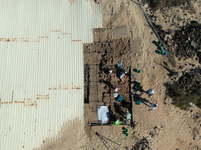Excavaciones Lobos 2