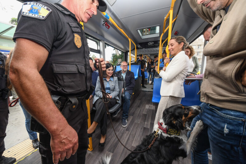 Dispositivo de seguridad en Guaguas Municipales. Imagen Ayuntamiento de Las Palmas de Gran Canaria