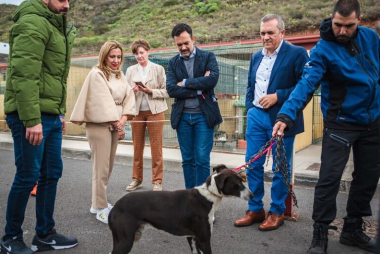El albergue para animales Valle Colino, en Tenerife, contará con un nuevo emplazamiento