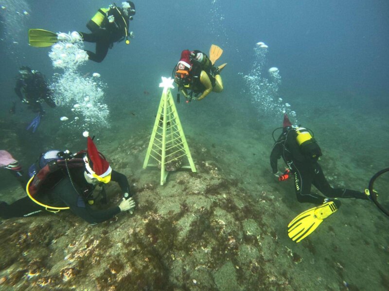 En Garachico han instalado un árbol de Navidad submarino / Ayuntamiento de Garachico