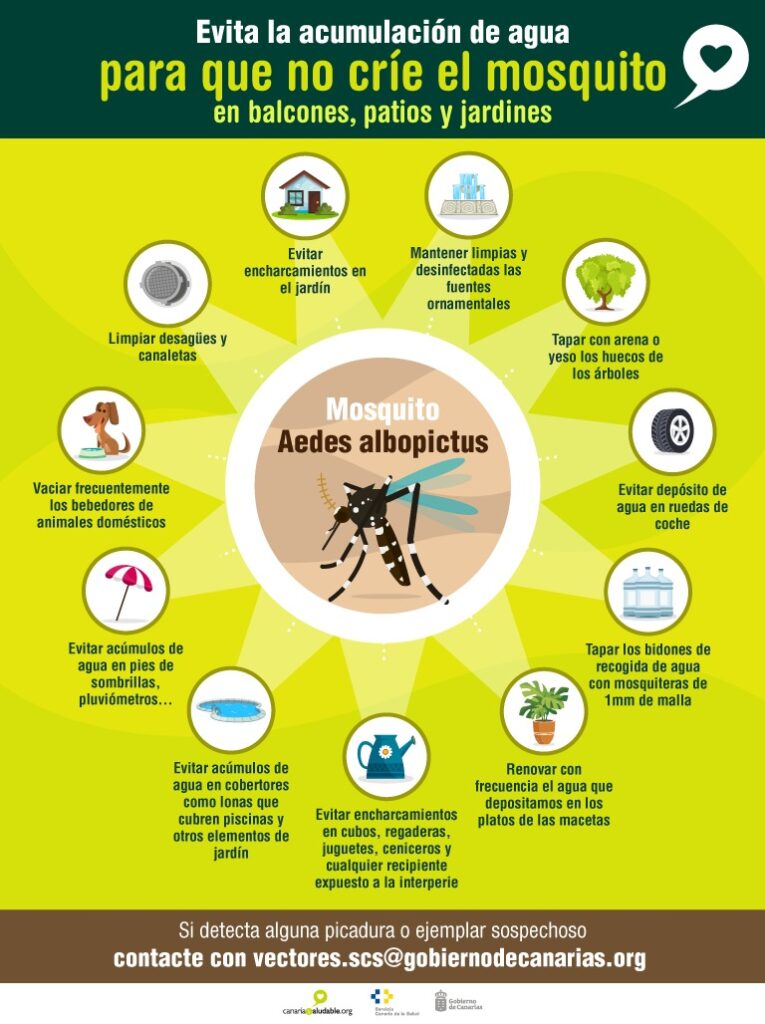 Recomendaciones para que no críe el mosquito Aedes aegypti