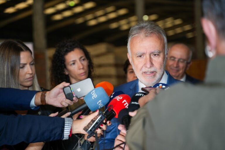 Torres anuncia que la Comisión Interministerial de Inmigración se constituirá la próxima semana