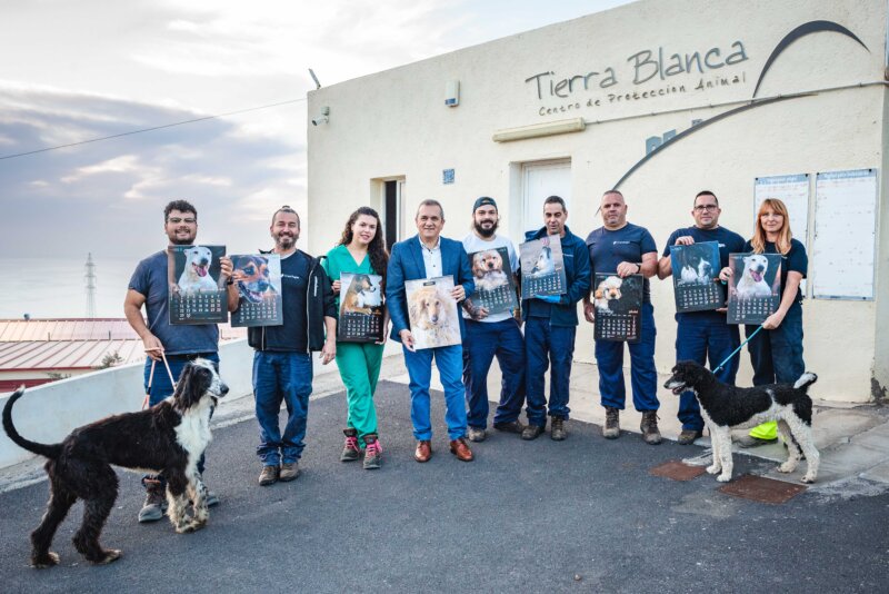 Campaña de concienciación contra el abandono animal. Imagen Cabildo de Tenerife