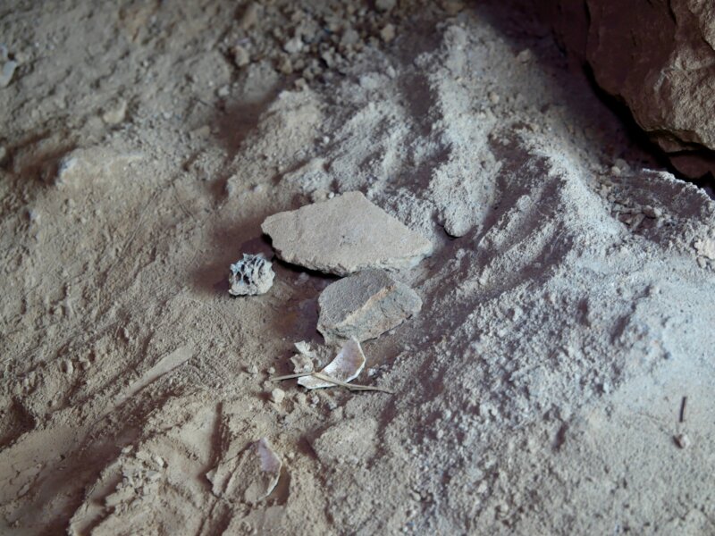 Hallazgos encontrados en la cueva del Majo de La Degollada. Foto Gobierno de Canarias