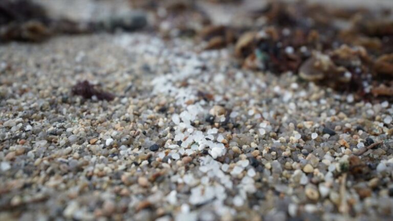 Canarias recibe basura marina de Canadá, Estados Unidos, México y Groenlandia