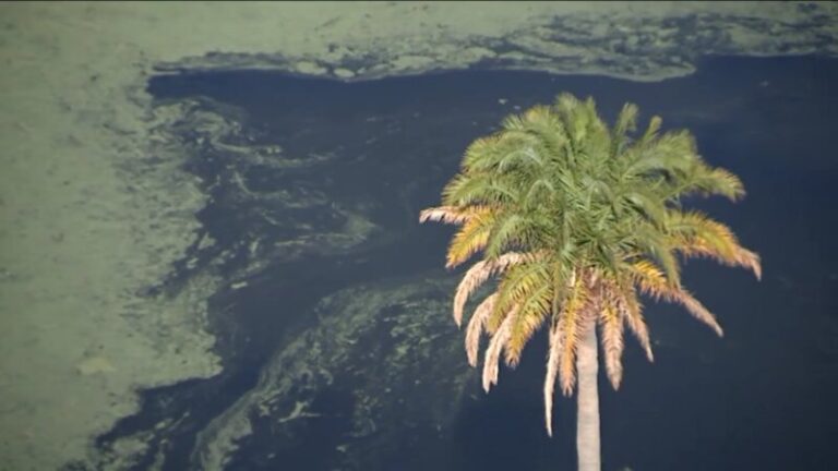 El patrimonio hidráulico de Canarias, este martes en ‘El camino del agua’
