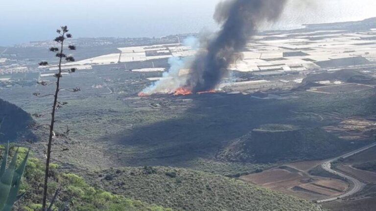 El incendio del Parque La Reina en el sur de Tenerife, a punto de darse por extinguido