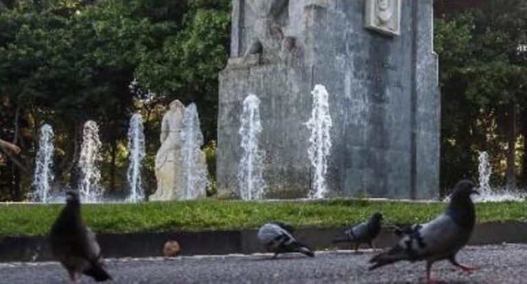 Sancionan a una mujer por dar de comer a las palomas