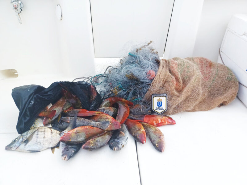 Pesca ilegal Tenerife