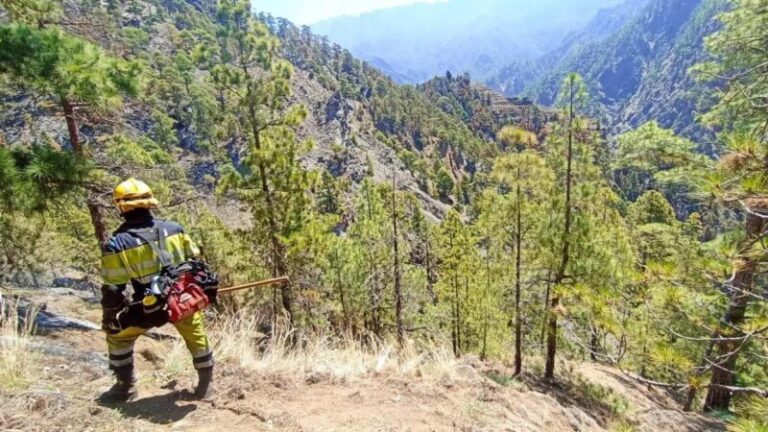 Declarada alerta por incendios forestales en cumbres de Tenerife, La Gomera y El Hierro