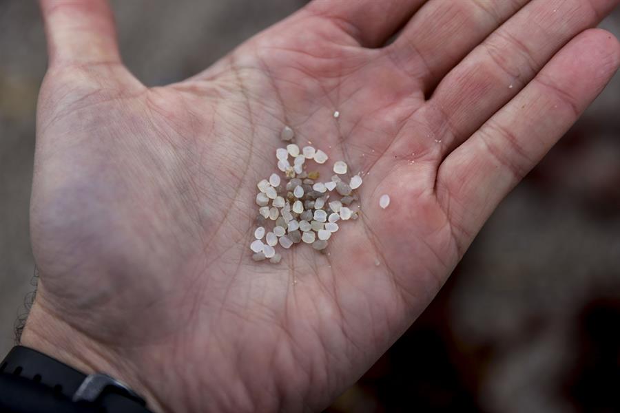 Pequeñas bolas de plástico que los peces pueden confundir con comida. Imagen EFE
