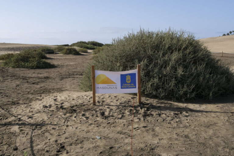 600 euros de multa a quienes escondieron dinero en las Dunas de Maspalomas