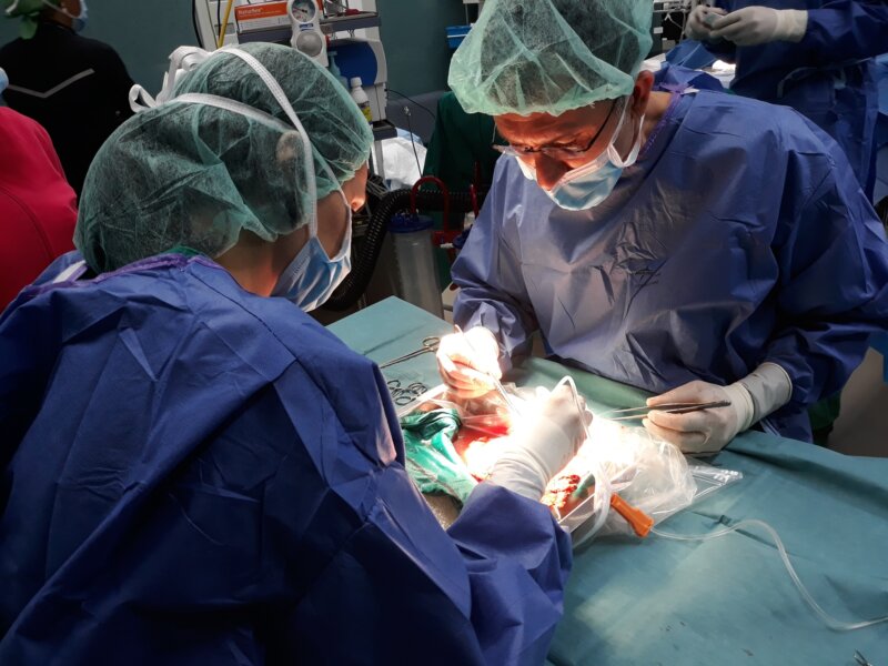 Trasplante renal en vivo, perfusión de riñón. Foto cedida por el HUC