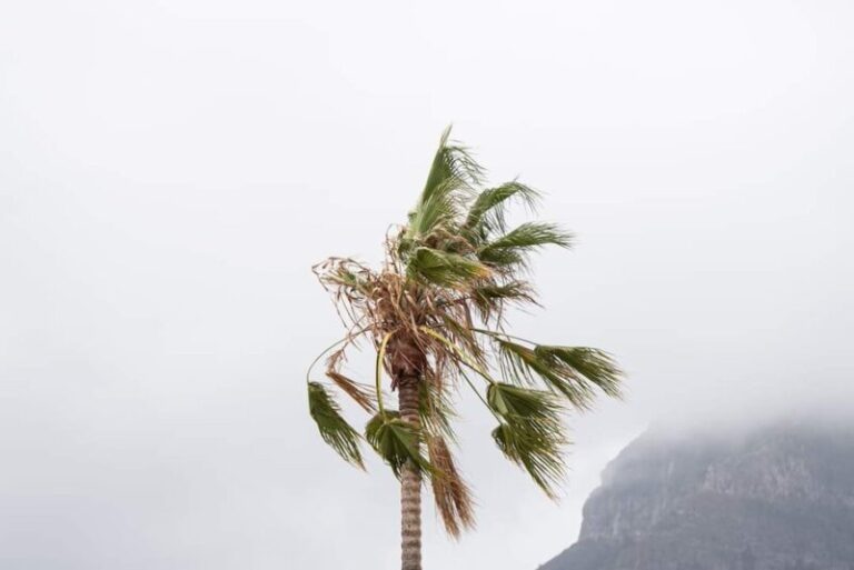 Finaliza la alerta por viento en El Hierro, La Gomera y en El Paso y Los Llanos, en La Palma