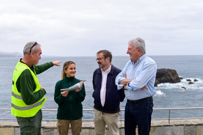 Cabildo y Ayuntamiento buscan recuperar colonias de charranes en Las Palmas