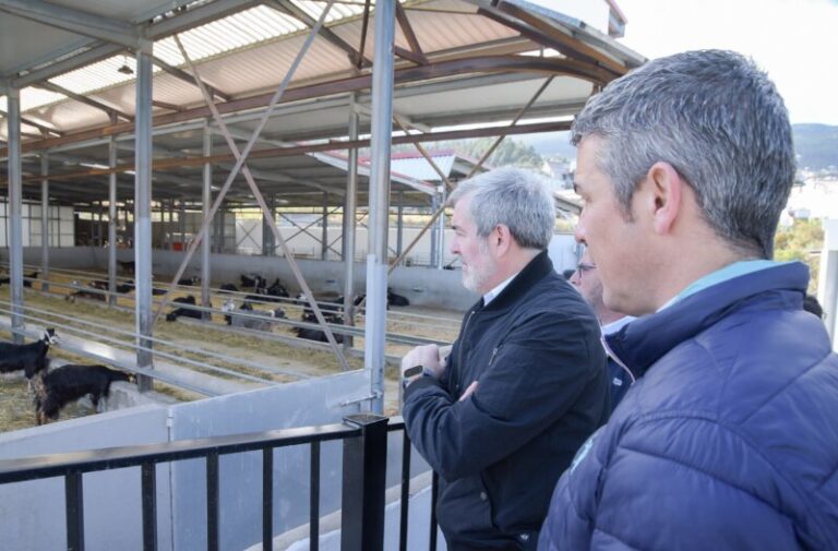 Ayudas de 100.000 euros a los jóvenes que monten una empresa agraria en Canarias